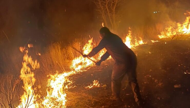 Namibya Çevre Bakanlığı bu sezon Etosha’nın yüzde 16’sının etkilendiğini açıkladı
