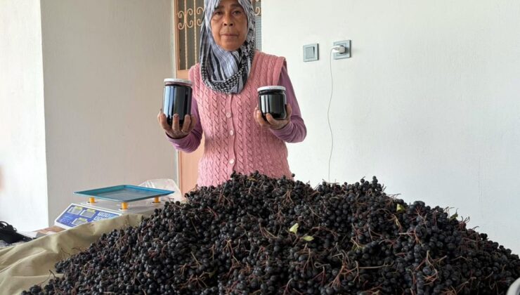 Osmaniye Bahçe’de Necla Akdoğan aronya reçelinin yarım kilosunu 400 liradan satıyor