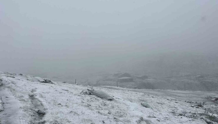 Rize’nin Çamlıhemşin ilçesindeki Avusor Yaylası’nda kar yağışı sezonu kapattı
