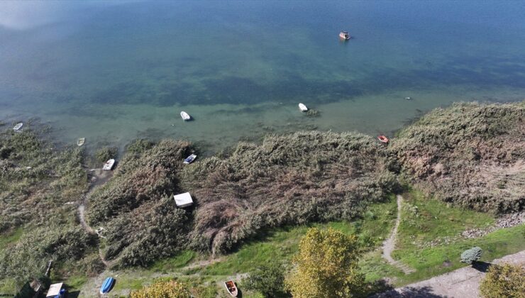 Sapanca Gölü’nde su seviyesi son yağışlarla 20 Ekim’de 30,54 metreye yükseldi