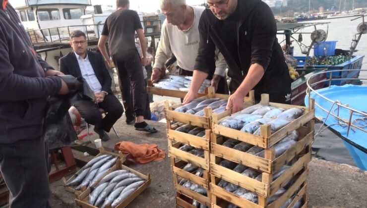 Şile’de palamut bolluğu yaşanıyor, kasası 600 liradan alıcı buluyor