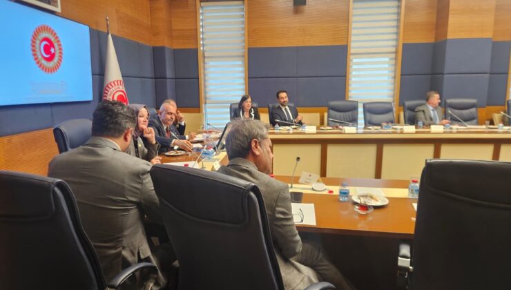 TBMM AB Uyum Komisyonu’nda Türkkan, AİHM kararlarının uygulanmadığını savundu