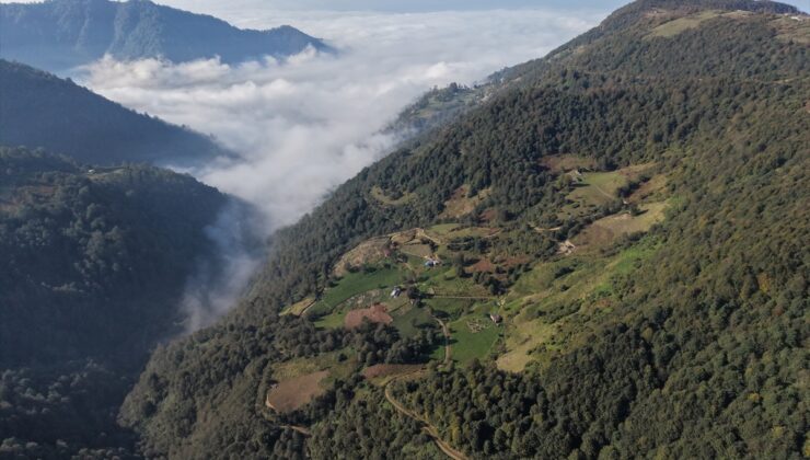 Trabzon Düzköy’deki Karadağ Yaylası sonbahar renkleriyle ziyaretçi çekiyor