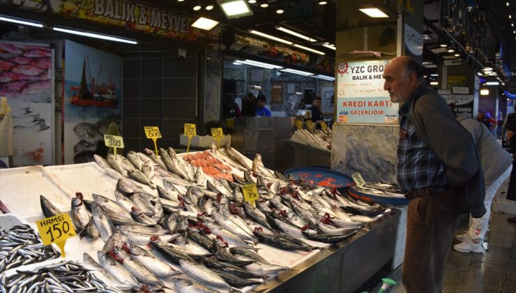 Trabzon’da palamut bolluğu yaşanıyor, 3 palamut 100 liradan satılıyor