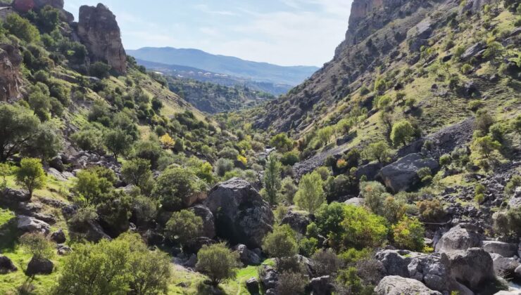Tunceli Çemişgezek’te ÇED iptaline rağmen Bakanlık Tağar HES için ÇED süreci başlattı