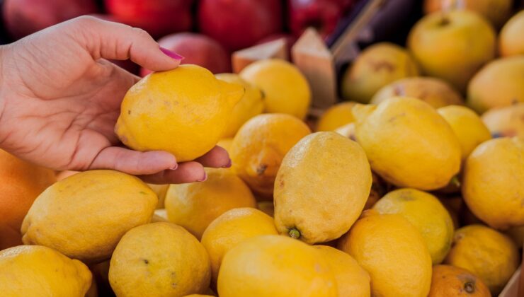 TZOB raporuna göre limonda üretici-market fiyat farkı eylülde yüzde 633,4’e ulaştı