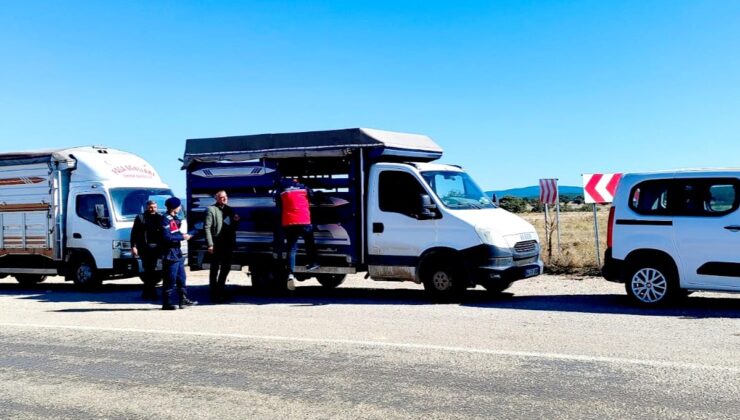 Uşak’ta hayvan hastalıklarına karşı jandarma ve tarım ekipleri yol denetimi yapıyor