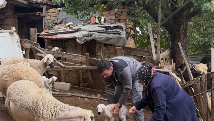 Yozgat’ta orman köylülerine ORKÖY projesiyle büyükbaş ve küçükbaş desteği verildi